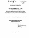 Дроздова, Ирина Владимировна. Формирование рынка труда и политики занятости в моноспециализированных городах: На примере городов горного профиля Свердловской области: дис. кандидат экономических наук: 08.00.05 - Экономика и управление народным хозяйством: теория управления экономическими системами; макроэкономика; экономика, организация и управление предприятиями, отраслями, комплексами; управление инновациями; региональная экономика; логистика; экономика труда. Екатеринбург. 2004. 223 с.