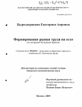 Цырендоржиева, Екатерина Аюровна. Формирование рынка труда на селе: На материалах Республики Бурятия: дис. кандидат экономических наук: 08.00.05 - Экономика и управление народным хозяйством: теория управления экономическими системами; макроэкономика; экономика, организация и управление предприятиями, отраслями, комплексами; управление инновациями; региональная экономика; логистика; экономика труда. Москва. 2005. 179 с.