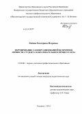 Рабина, Екатерина Игоревна. Формирование самоорганизованной во времени личности студента в образовательном процессе вуза: дис. кандидат наук: 13.00.08 - Теория и методика профессионального образования. Тольятти. 2014. 188 с.