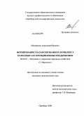 Шиповских, Александр Юрьевич. Формирование сбалансированного комплекса маркетинга на промышленных предприятиях: дис. кандидат экономических наук: 08.00.05 - Экономика и управление народным хозяйством: теория управления экономическими системами; макроэкономика; экономика, организация и управление предприятиями, отраслями, комплексами; управление инновациями; региональная экономика; логистика; экономика труда. Оренбург. 2008. 205 с.