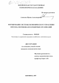 Алименко, Ирина Александровна. Формирование системы экономического управления персонал-потенциалом кредитных организаций: дис. кандидат экономических наук: 08.00.05 - Экономика и управление народным хозяйством: теория управления экономическими системами; макроэкономика; экономика, организация и управление предприятиями, отраслями, комплексами; управление инновациями; региональная экономика; логистика; экономика труда. Воронеж. 2005. 261 с.