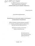 Носаева, Валентина Владимировна. Формирование системы оперативного контроллинга промышленного предприятия: дис. кандидат экономических наук: 08.00.05 - Экономика и управление народным хозяйством: теория управления экономическими системами; макроэкономика; экономика, организация и управление предприятиями, отраслями, комплексами; управление инновациями; региональная экономика; логистика; экономика труда. Оренбург. 2005. 228 с.