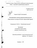 Горшков, Андрей Александрович. Формирование системы распределения ресурсов общественного сектора в России в переходный период: дис. кандидат экономических наук: 08.00.01 - Экономическая теория. Челябинск. 1999. 146 с.