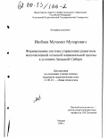 Ишбаев, Мухамат Мухарович. Формирование системы управления развитием малочисленной сельской национальной школы в условиях Западной Сибири: дис. кандидат педагогических наук: 13.00.01 - Общая педагогика, история педагогики и образования. Москва. 1999. 225 с.