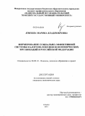 Князева, Марина Владимировна. Формирование социально-эффективной системы налогообложения некоммерческих организаций в Российской Федерации: дис. кандидат экономических наук: 08.00.10 - Финансы, денежное обращение и кредит. Томск. 2011. 239 с.