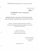 Курдюкова, Оксана Григорьевна. Формирование социально-ориентированных инструментов модернизации здравоохранения: дис. кандидат экономических наук: 08.00.05 - Экономика и управление народным хозяйством: теория управления экономическими системами; макроэкономика; экономика, организация и управление предприятиями, отраслями, комплексами; управление инновациями; региональная экономика; логистика; экономика труда. Кисловодск. 2010. 217 с.