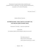 Лащёнов Михаил Сергеевич. Формирование социального партнёрства в правоохранительной сфере: дис. кандидат наук: 22.00.08 - Социология управления. ФГКВОУ ВО «Военный университет» Министерства обороны Российской Федерации. 2018. 225 с.