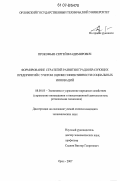 Прокофьев, Сергей Владимирович. Формирование стратегий развития градообразующих предприятий с учетом оценки эффективности социальных инноваций: дис. кандидат экономических наук: 08.00.05 - Экономика и управление народным хозяйством: теория управления экономическими системами; макроэкономика; экономика, организация и управление предприятиями, отраслями, комплексами; управление инновациями; региональная экономика; логистика; экономика труда. Орел. 2007. 195 с.