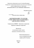 Токарева, Ольга Борисовна. Формирование стратегии туристического маркетинга для малого города: дис. кандидат наук: 08.00.05 - Экономика и управление народным хозяйством: теория управления экономическими системами; макроэкономика; экономика, организация и управление предприятиями, отраслями, комплексами; управление инновациями; региональная экономика; логистика; экономика труда. Воронеж. 2013. 143 с.