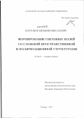 Воронцов, Евгений Николаевич. Формирование световых полей со сложной пространственной и поляризационной структурами: дис. кандидат физико-математических наук: 01.04.21 - Лазерная физика. Самара. 2011. 98 с.