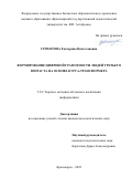 Грохотова Екатерина Вячеславовна. Формирование цифровой грамотности людей третьего возраста на основе курса-трансформера: дис. кандидат наук: 00.00.00 - Другие cпециальности. ФГАОУ ВО «Сибирский федеральный университет». 2022. 164 с.