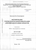 Коваленко, Олег Владимирович. Формирование учетно-контрольной информации для природоохранных проектов: дис. кандидат наук: 08.00.12 - Бухгалтерский учет, статистика. Москва. 2016. 219 с.