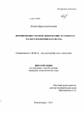 Кокова, Ирина Анатольевна. Формирование учетной информации в субъектах малого предпринимательства: дис. кандидат экономических наук: 08.00.12 - Бухгалтерский учет, статистика. Новосибирск. 2011. 207 с.