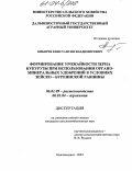 Кибирев, Константин Владимирович. Формирование урожайности зерна кукурузы при использовании органо-минеральных удобрений в условиях Зейско-буреинской равнины: дис. кандидат сельскохозяйственных наук: 06.01.09 - Растениеводство. Барнаул. 2004. 158 с.