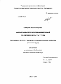 Сабирова, Лилия Тахировна. Формирование внутрифирменной политики оплаты труда: дис. кандидат экономических наук: 08.00.05 - Экономика и управление народным хозяйством: теория управления экономическими системами; макроэкономика; экономика, организация и управление предприятиями, отраслями, комплексами; управление инновациями; региональная экономика; логистика; экономика труда. Омск. 2009. 291 с.