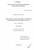 Муравьев, Артем Анатольевич. Фрактальные структуры и паттерны у гидробионтов при воздействии антропогенных факторов: дис. кандидат биологических наук: 03.00.18 - Гидробиология. Москва. 2006. 120 с.