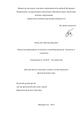 Пилюгина Наталья Юрьевна. Фразеологизированные сочетания в служебной функции: синтаксис и семантика: дис. кандидат наук: 10.02.01 - Русский язык. ФГАОУ ВО «Дальневосточный федеральный университет». 2019. 205 с.