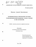 Мальцев, Алексей Валентинович. Функциональная морфология органов размножения новорожденных телок в норме и при патологии: дис. кандидат ветеринарных наук: 16.00.02 - Патология, онкология и морфология животных. Уфа. 2004. 197 с.