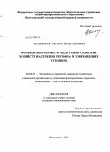 Зволинская, Оксана Вячеславовна. Функционирование и адаптация сельских хозяйств населения региона в современных условиях: дис. кандидат экономических наук: 08.00.05 - Экономика и управление народным хозяйством: теория управления экономическими системами; макроэкономика; экономика, организация и управление предприятиями, отраслями, комплексами; управление инновациями; региональная экономика; логистика; экономика труда. Волгоград. 2013. 202 с.