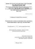 Байрамов Андрей Вячеславович. Генетические основы эволюции плана строения и появления новых структур у позвоночных: дис. доктор наук: 00.00.00 - Другие cпециальности. ФГБУН «Институт биоорганической химии имени академиков М.М. Шемякина и Ю.А. Овчинникова Российской академии наук». 2024. 382 с.