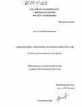 Димов, Сергей Владимирович. Гидродинамика капиллярных течений в пористой среде: дис. кандидат физико-математических наук: 01.02.05 - Механика жидкости, газа и плазмы. Новосибирск. 2004. 114 с.