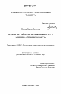 Шестова, Марина Вадимовна. Гидрологический режим нижних бьефов ГЭС и его влияние на условия судоходства: дис. кандидат технических наук: 05.22.19 - Эксплуатация водного транспорта, судовождение. Нижний Новгород. 2006. 174 с.