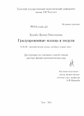 Балаба, Ирина Николаевна. Градуированные кольца и модули: дис. доктор физико-математических наук: 01.01.06 - Математическая логика, алгебра и теория чисел. Тула. 2012. 212 с.