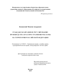 Каменский Максим Андреевич. Гражданско-правовое регулирование производства и распространения рекламы на территории Российской Федерации: дис. кандидат наук: 12.00.03 - Гражданское право; предпринимательское право; семейное право; международное частное право. ФГБОУ ВО «Российская государственная академия интеллектуальной собственности». 2019. 203 с.