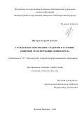 Шустров Андрей Сергеевич. Гражданское образование студентов в условиях цифровой трансформации университета: дис. кандидат наук: 00.00.00 - Другие cпециальности. ФГБОУ ВО «Новгородский государственный университет имени Ярослава Мудрого». 2024. 230 с.