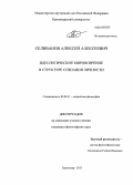 Селиванов, Алексей Алексеевич. Идеологическое мировоззрение в структуре сознания личности: дис. кандидат наук: 09.00.11 - Социальная философия. Краснодар. 2013. 129 с.