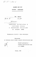 Чам, Ндьяссе. Именные категории в системе языка с именными классами (на материале волоф): дис. кандидат филологических наук: 10.02.19 - Теория языка. Москва. 1984. 165 с.