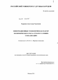 Гордеева, Анастасия Сергеевна. Информационные технологии как фактор экономического роста стран в условиях глобализации: дис. кандидат экономических наук: 08.00.14 - Мировая экономика. Москва. 2011. 203 с.