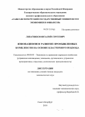 Липатников, Виталий Сергеевич. Инновационное развитие промышленных комплексов на основе кластерного подхода: дис. кандидат экономических наук: 08.00.05 - Экономика и управление народным хозяйством: теория управления экономическими системами; макроэкономика; экономика, организация и управление предприятиями, отраслями, комплексами; управление инновациями; региональная экономика; логистика; экономика труда. Санкт-Петербург. 2010. 148 с.