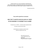 Бакулин Валерий Константинович. Институт контроля и надзора в сфере исполнения уголовных наказаний: дис. кандидат наук: 12.00.08 - Уголовное право и криминология; уголовно-исполнительное право. ФГАОУ ВО «Казанский (Приволжский) федеральный университет». 2019. 235 с.