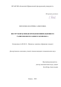 Потапова Екатерина Алексеевна. Инструменты финансирования инновационного развития нефтегазового комплекса: дис. кандидат наук: 08.00.10 - Финансы, денежное обращение и кредит. ФГАОУ ВО «Казанский (Приволжский) федеральный университет». 2021. 219 с.