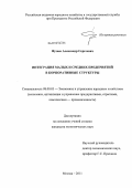 Фузеев, Александр Сергеевич. Интеграция малых и средних предприятий в индустриальные корпоративные структуры: дис. кандидат экономических наук: 08.00.05 - Экономика и управление народным хозяйством: теория управления экономическими системами; макроэкономика; экономика, организация и управление предприятиями, отраслями, комплексами; управление инновациями; региональная экономика; логистика; экономика труда. Москва. 2011. 142 с.