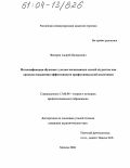 Федоров, Андрей Валерьевич. Интенсификация обучения с учетом когнитивных стилей студентов как средство повышения эффективности профессиональной подготовки: дис. кандидат педагогических наук: 13.00.08 - Теория и методика профессионального образования. Москва. 2004. 171 с.