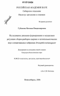 Губанова, Наталья Владимировна. Исследование динамики формирования и механизмов регуляции сборки-разборки ядерных и цитоплазматических пор в синцитиальных эмбрионах Drosophila melanogaster: дис. кандидат биологических наук: 03.00.25 - Гистология, цитология, клеточная биология. Новосибирск. 2006. 144 с.