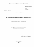 Величко, Наталия Владиславовна. Исследование цианобактерий рода Prochlorothrix: дис. кандидат биологических наук: 03.00.07 - Микробиология. Санкт-Петербург. 2008. 154 с.