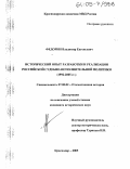 Федорин, Владимир Евгеньевич. Исторический опыт разработки и реализации российской судебно-исполнительной политики: 1992-2005 гг.: дис. кандидат исторических наук: 07.00.02 - Отечественная история. Краснодар. 2005. 203 с.