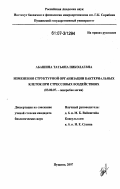 Абашина, Татьяна Николаевна. Изменения структурной организации бактериальных клеток при стрессовых воздействиях: дис. кандидат биологических наук: 03.00.07 - Микробиология. Пущино. 2007. 128 с.