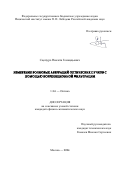 Сцепуро Никита Геннадьевич. Измерение волновых аберраций оптических пучков с помощью корреляционной фильтрации: дис. кандидат наук: 00.00.00 - Другие cпециальности. ФГАОУ ВО «Национальный исследовательский ядерный университет «МИФИ». 2024. 108 с.