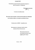 Соколова, Анна Ярославна. Изучение протекторного действия бактерий рода Klebsiella на газонные травы в условиях засоления почвы: дис. кандидат биологических наук: 03.00.07 - Микробиология. Москва. 2006. 145 с.