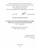 Логвинов, Александр Константинович. Изучение структурно-функциональной организации ритмогенеза в колонках корковых нейронов: дис. кандидат биологических наук: 03.03.01 - Физиология. Ростов-на-Дону. 2011. 126 с.