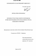 Попова, Ирина Евгеньевна. Изучение структурных свойств эритроцитов крови новорожденных при оксидативном стрессе, вызванном гипоксией: дис. кандидат биологических наук: 03.00.02 - Биофизика. Воронеж. 2007. 250 с.