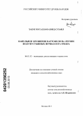 Табук Мусаллам Ахмед Сухаил. Капельное орошение картофеля на легких полупустынных почвах юга Омана: дис. кандидат сельскохозяйственных наук: 06.01.02 - Мелиорация, рекультивация и охрана земель. Москва. 2013. 179 с.