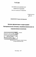 Коваленко, Галина Артемьевна. Катализ ферментами и нерастущими бактериальными клетками, иммобилизованными на неорганических носителях: дис. доктор химических наук: 02.00.15 - Катализ. Новосибирск. 2007. 306 с.