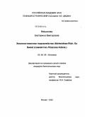 Мишанова, Екатерина Викторовна. Хемосистематика подсемейства Abietoideae Rich. Ex Sweet (семейство Pinaceae Adans.): дис. кандидат биологических наук: 03.00.05 - Ботаника. Москва. 2008. 138 с.