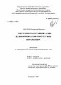 Носков, Владимир Петрович. Хирургическая стабилизация позвоночника при опухолевых поражениях: дис. кандидат медицинских наук: 14.00.27 - Хирургия. Кемерово. 2004. 147 с.