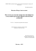 Филенко Игорь Анатольевич. Кислотное разложение природных фосфоритов с получением различных форм комплексных удобрений: дис. кандидат наук: 05.17.01 - Технология неорганических веществ. ФГБОУ ВО «Российский химико-технологический университет имени Д.И. Менделеева». 2020. 141 с.